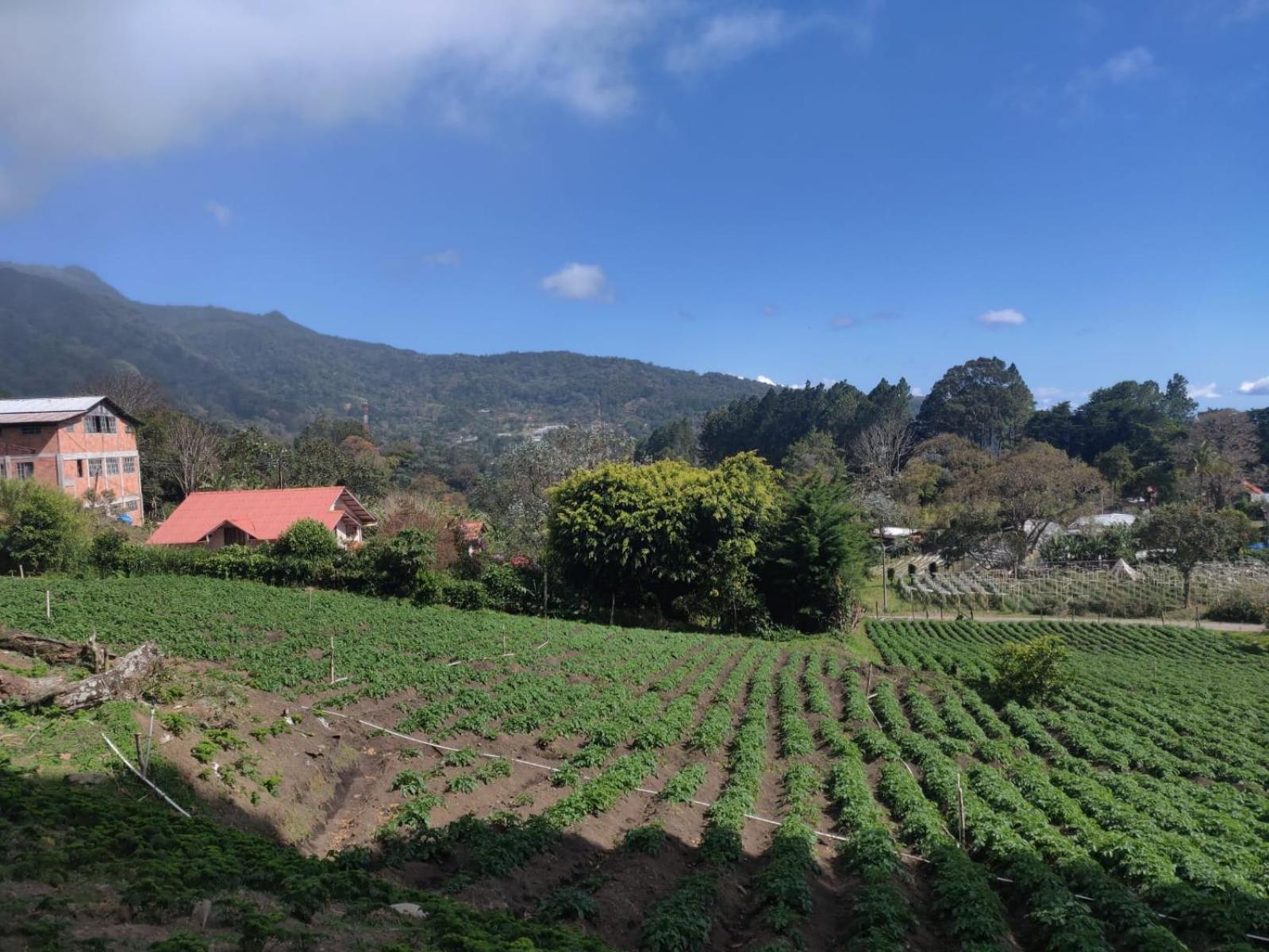 보케테 Agartha Mountain Retreat 호스텔 외부 사진